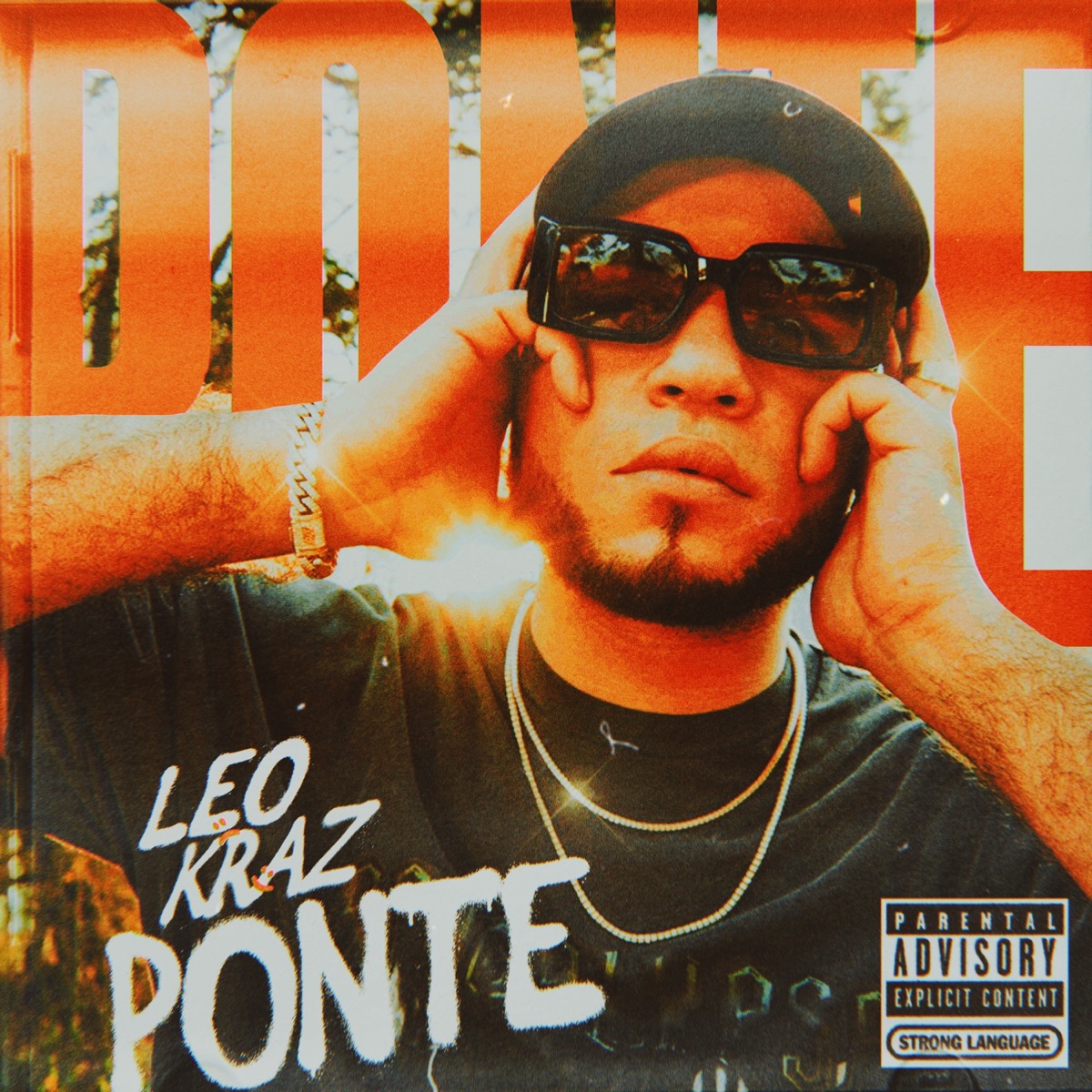 Ponte - Single by Leo Kraz album cover