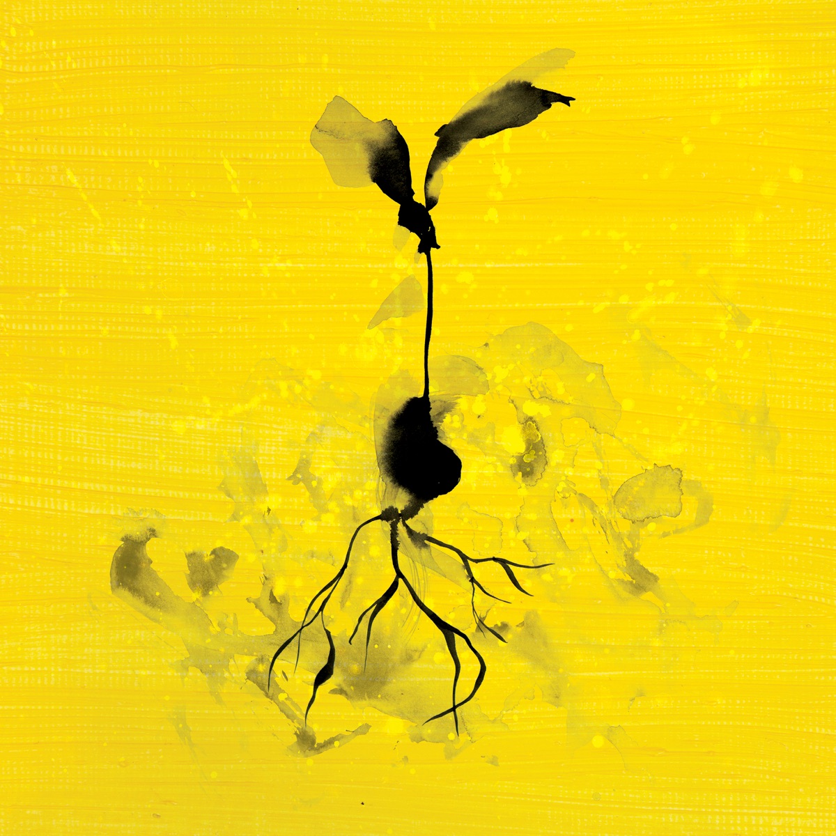 Life Goes On (feat. Luke Combs) - Single by Ed Sheeran album cover artwork