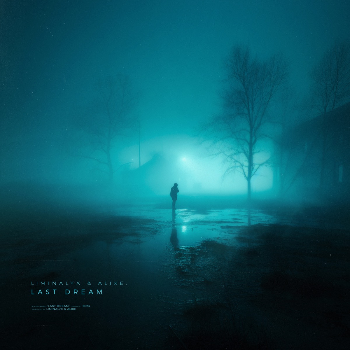 Last Dream - Single by liminalyx & alixe. album cover