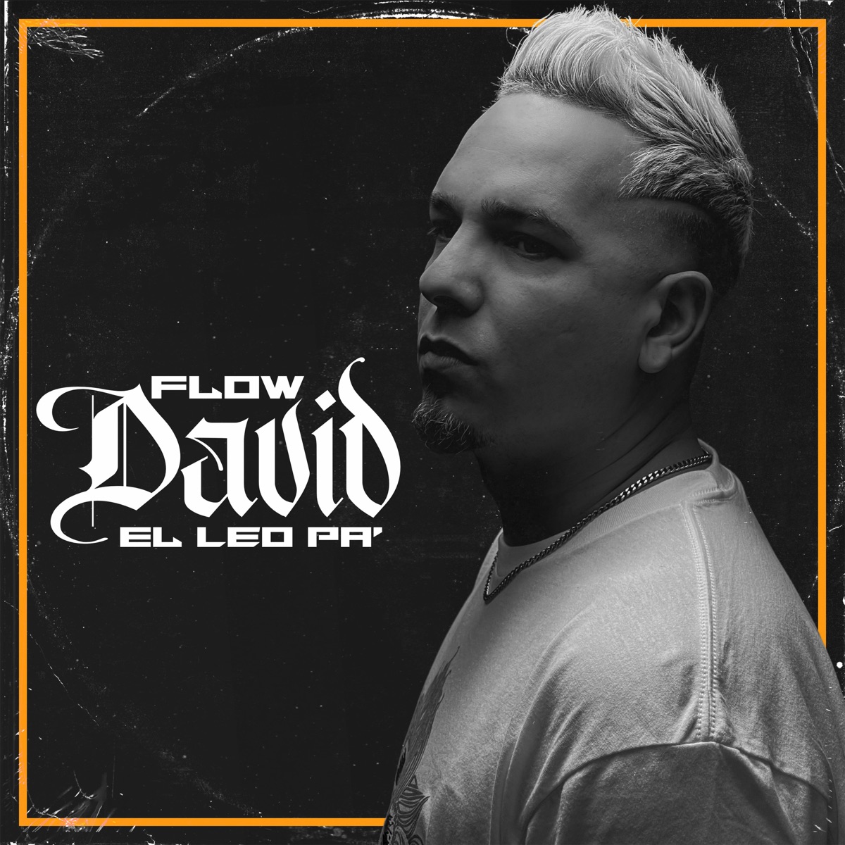 Flow David by El Leo Pa´ album cover