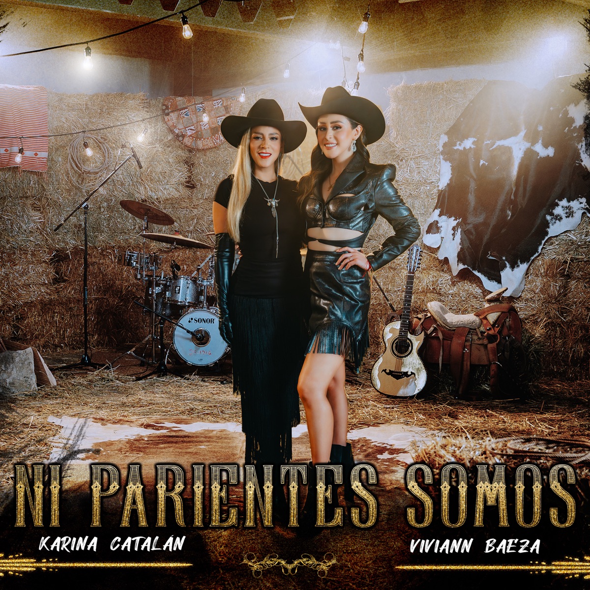 Ni Parientes Somos - Single by Viviann Baeza & Karina Catalán album cover