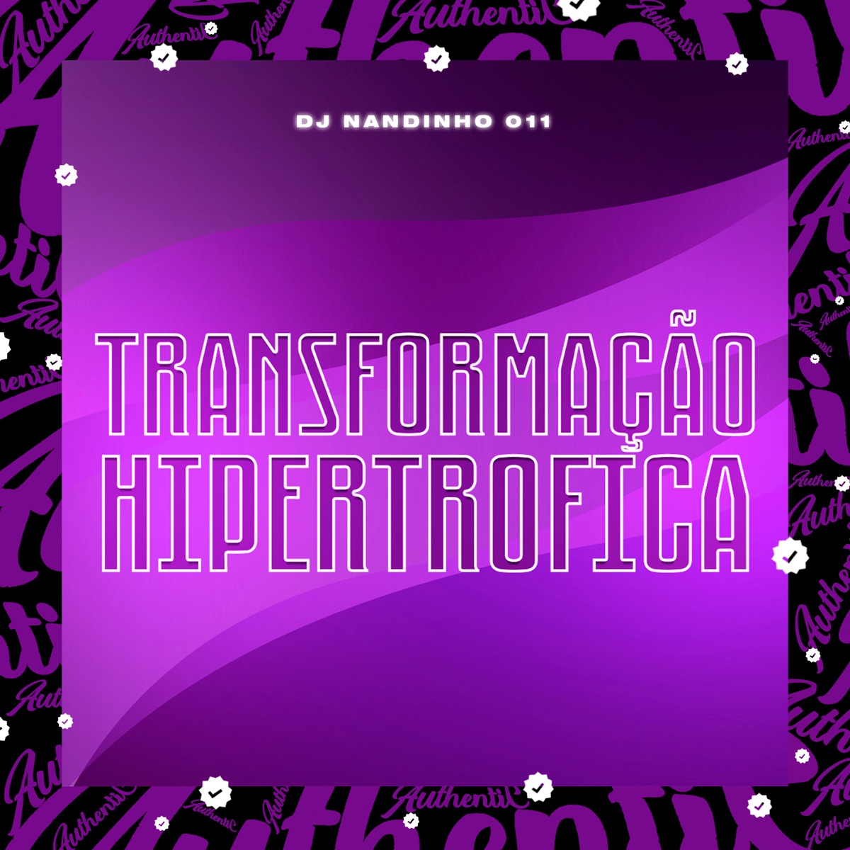 Transformação Hipertrófica - Single by DJ NANDINHO 011 album cover