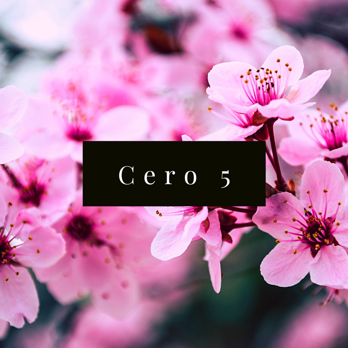 Cero 5 - Single by Pks skp album cover