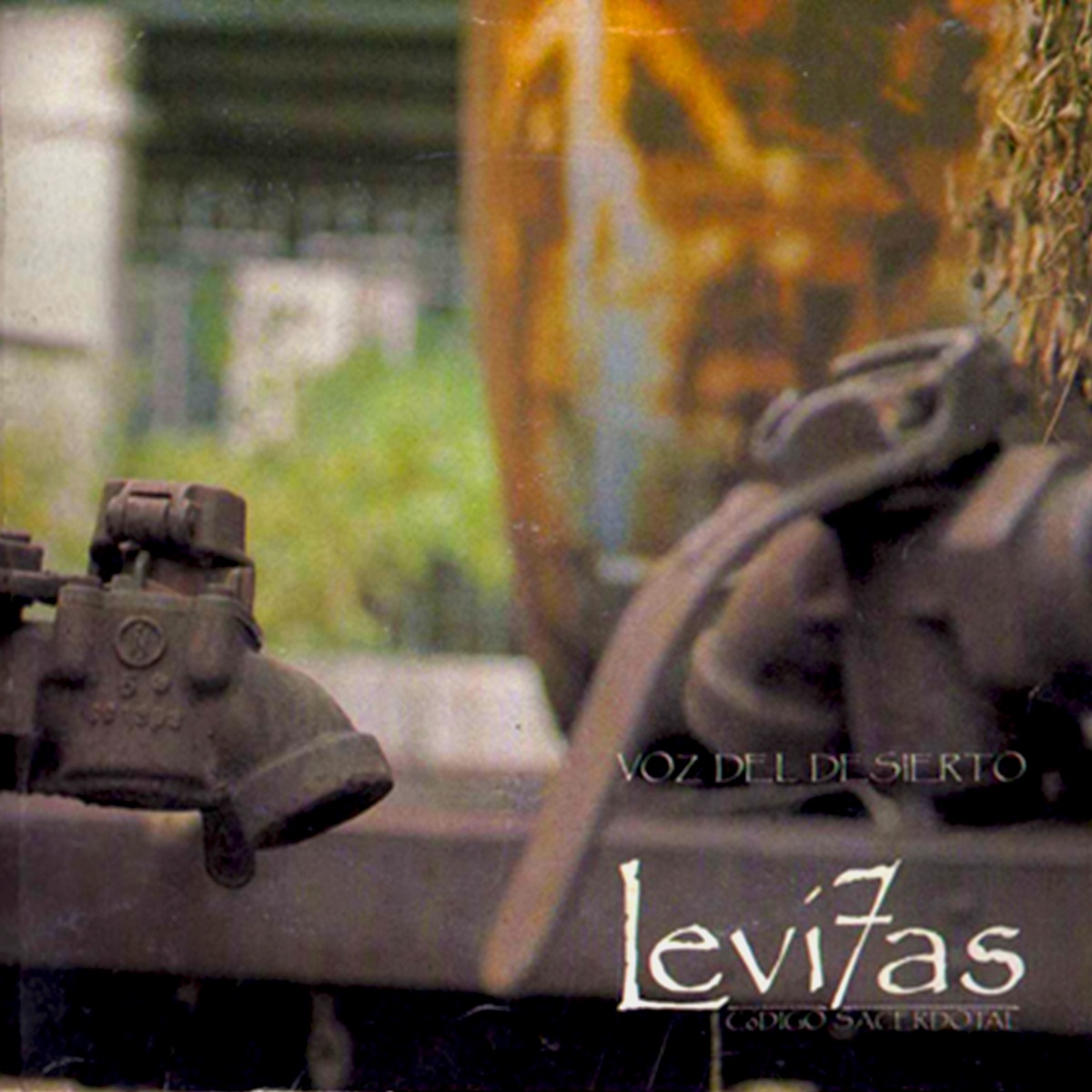 Voz del Desierto by Levi7as album cover