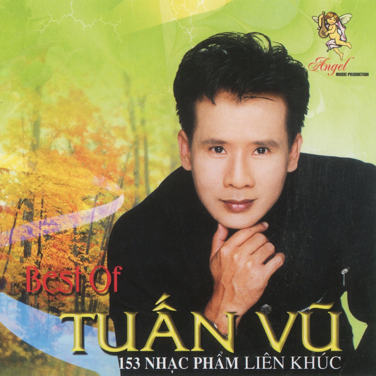 The Best Of Tuấn Vũ (Liên Khúc Tuấn Vũ) by Tuấn Vũ album cover