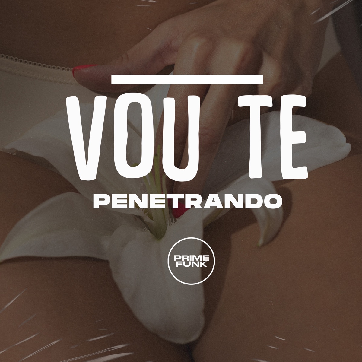 Vou Te Penetrando - Single by DJ Meno GMZ, Mc M12 & MC Myres album cover