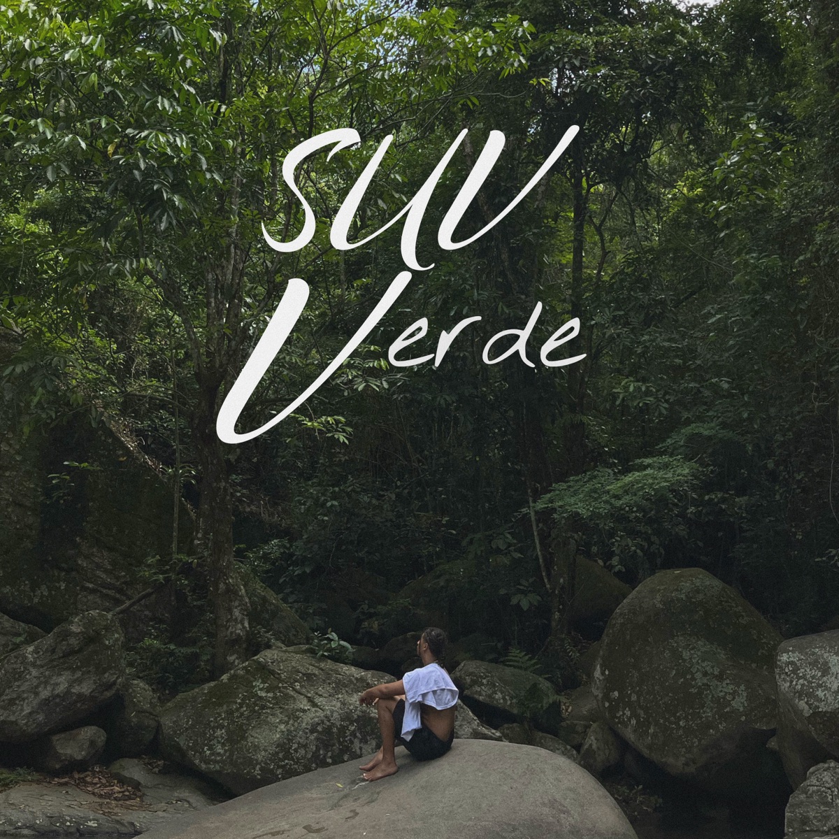 Suv Verde - Single by Ottoni & Pietro Zucaratto album cover