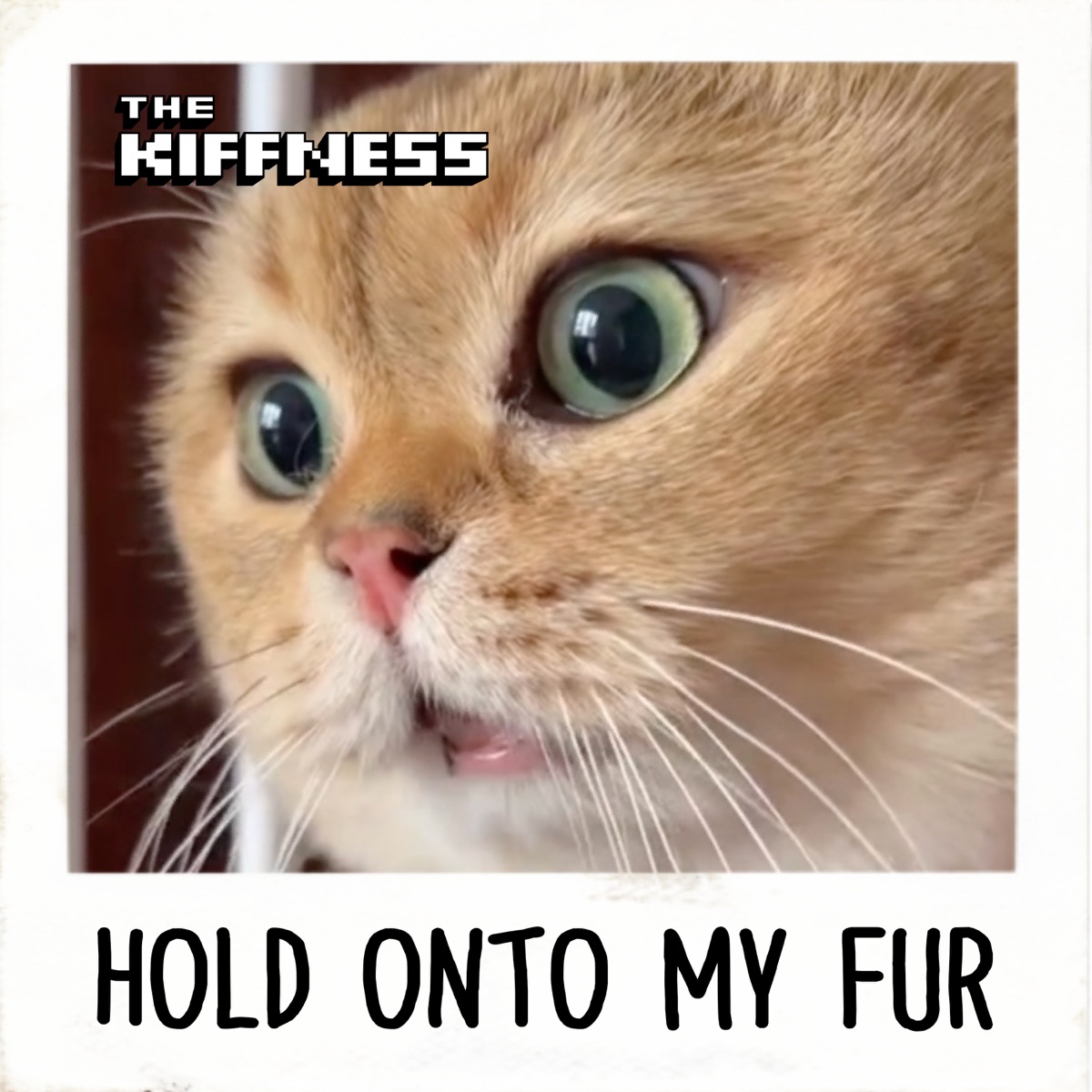 Hold Onto My Fur - Single by The Kiffness album cover