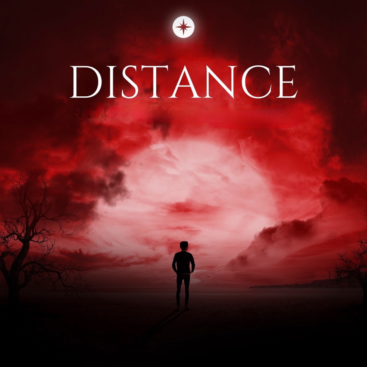 Distance Love (Instrumental Version) - Single by Naresh Narayan album cover
