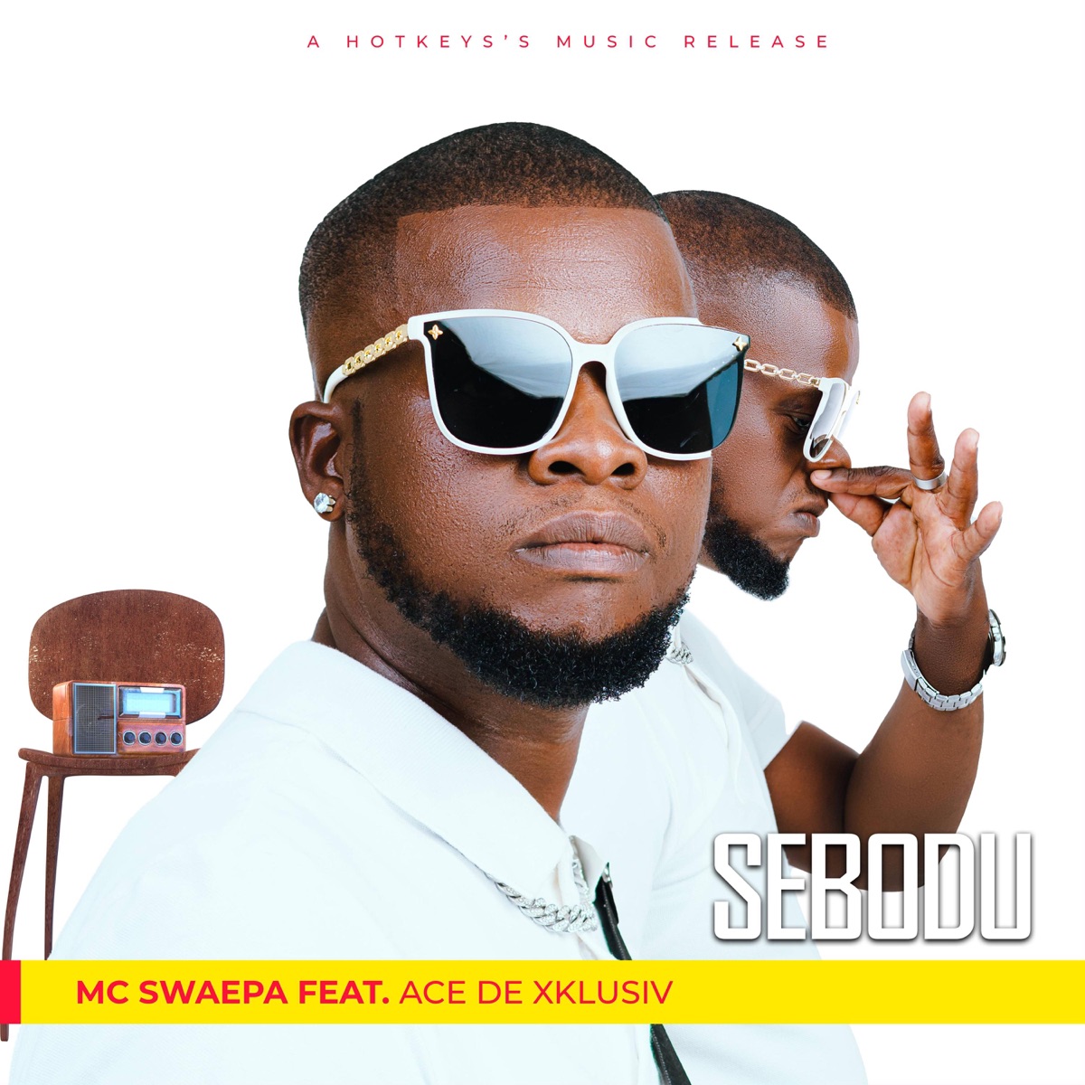 Sebodu (feat. Ace De XKlusiV) - Single by MC Swaepa album cover