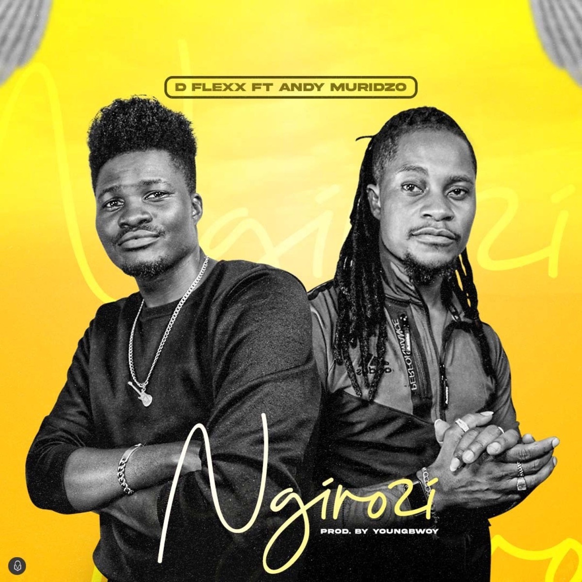 Ngirozi (feat. Andy Muridzo) - Single by D Flexx album cover
