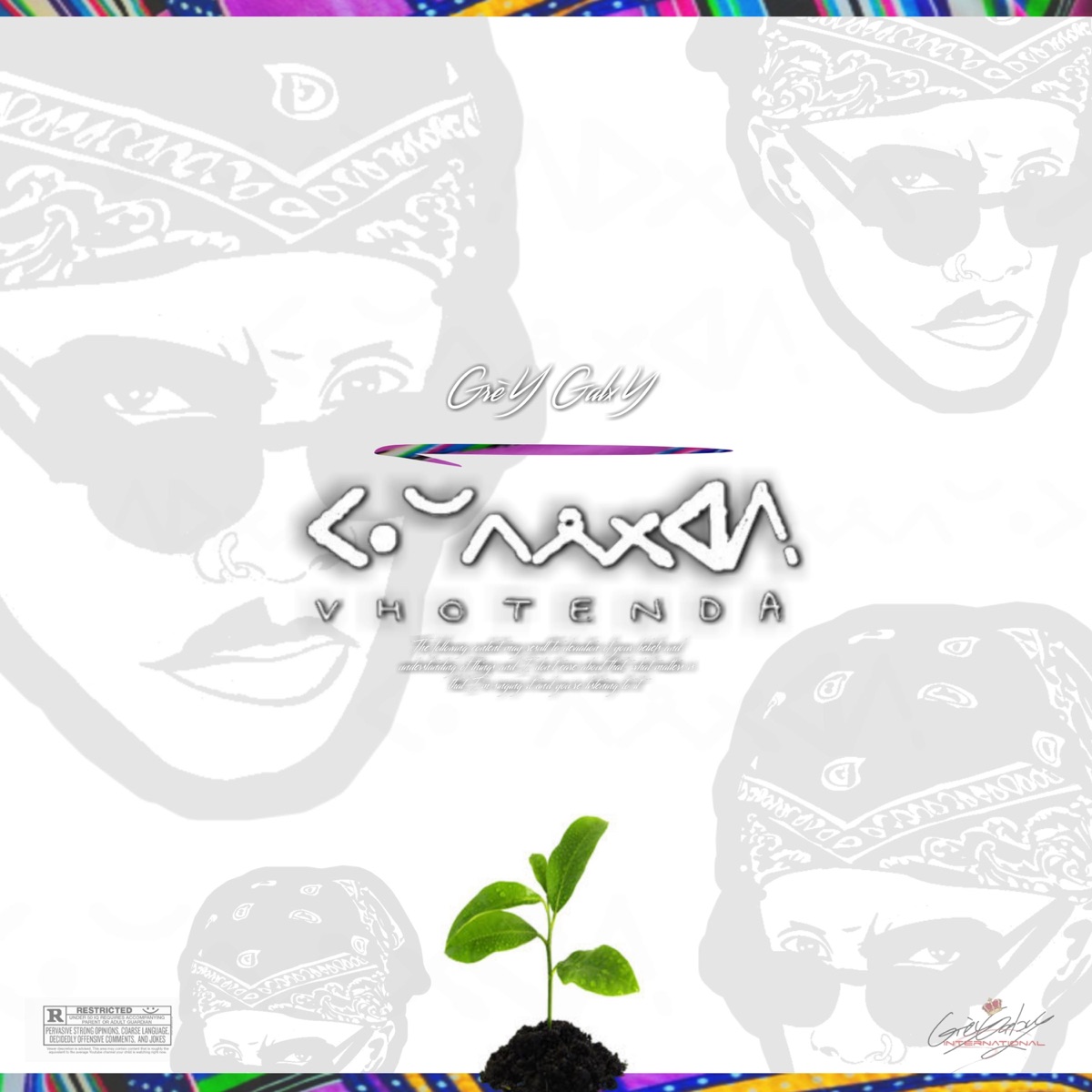 Vhotenda by GrèY GalxY album cover