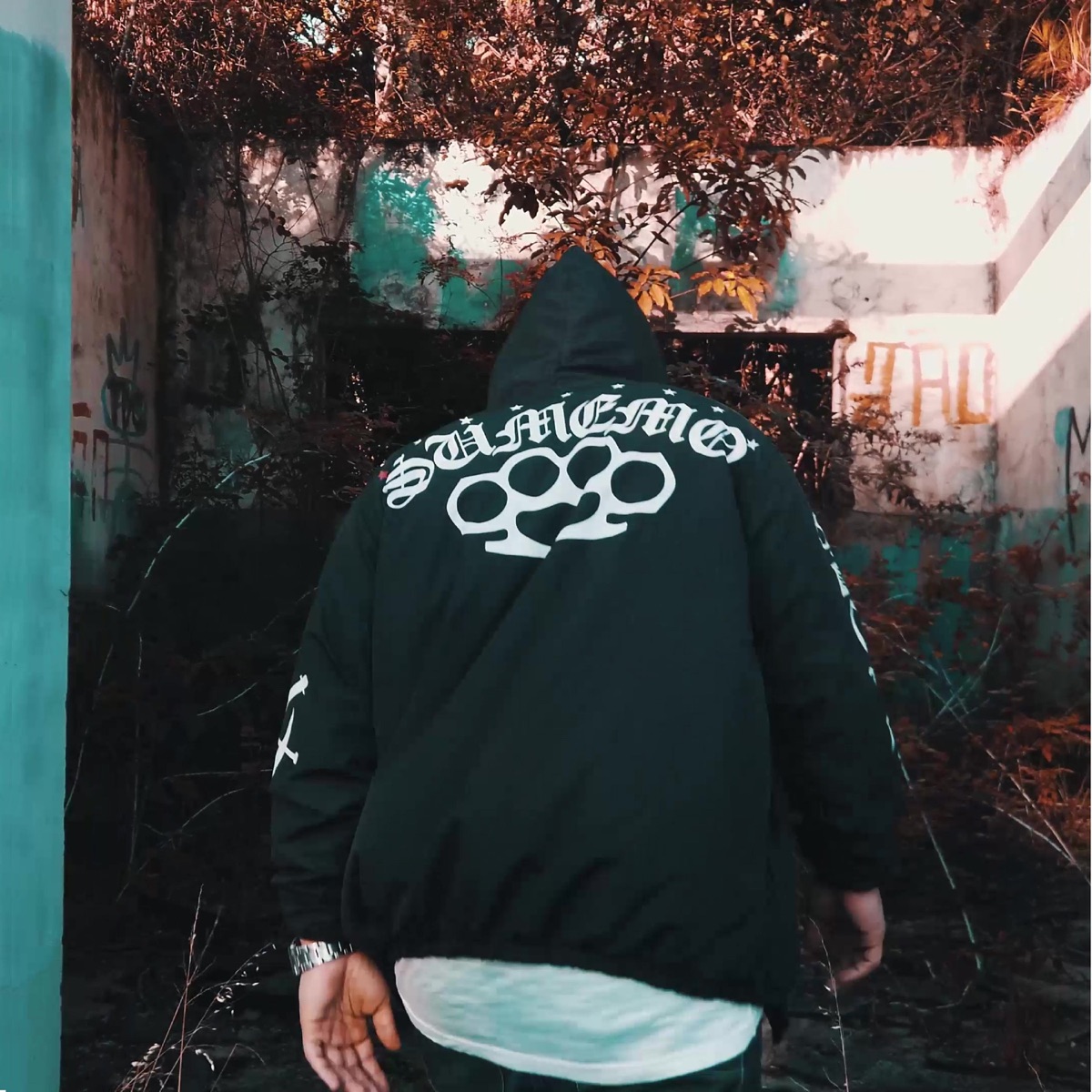 Fingiu Que Não Viu - Single by THOMZ album cover