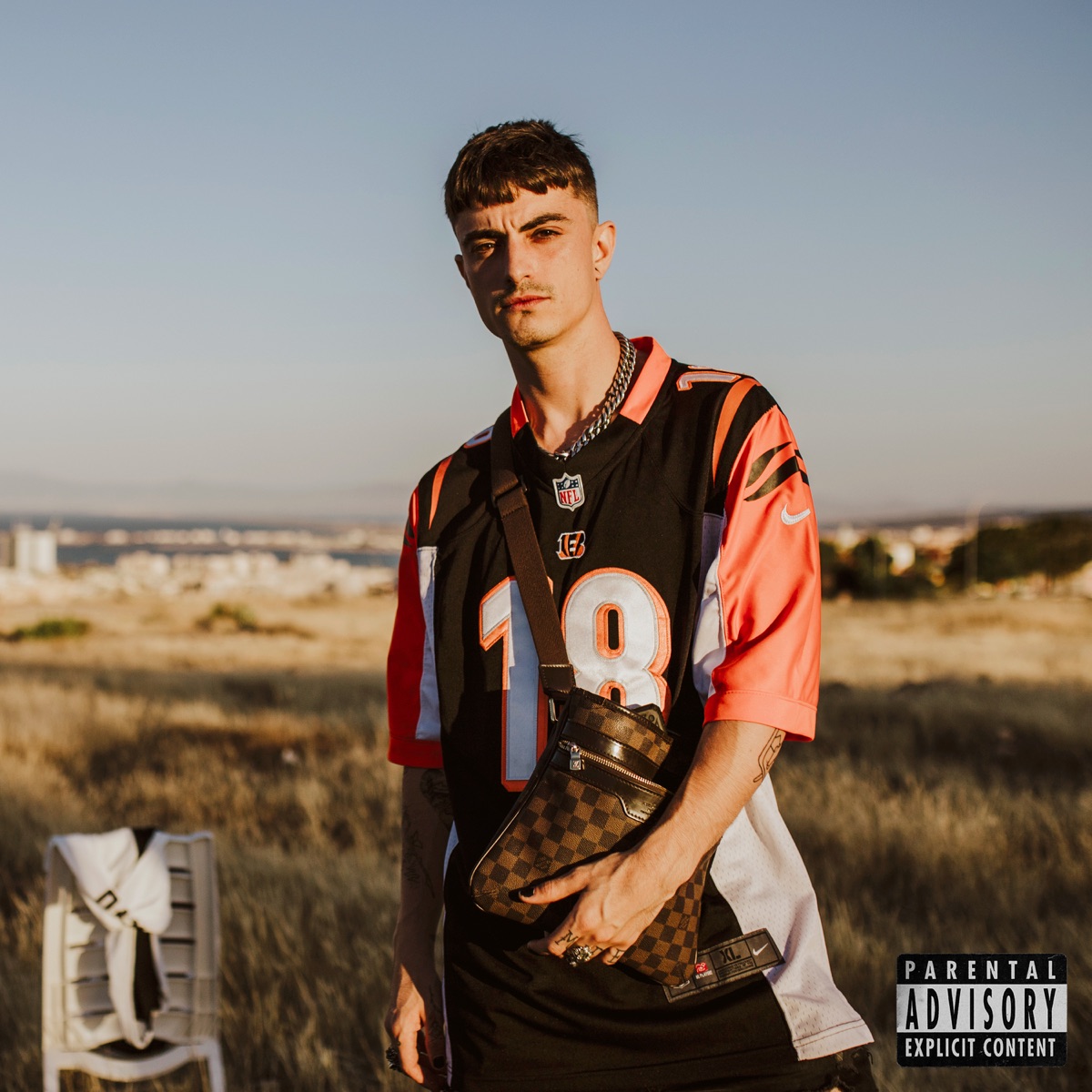 Falso Amor - Single by Swallow X album cover