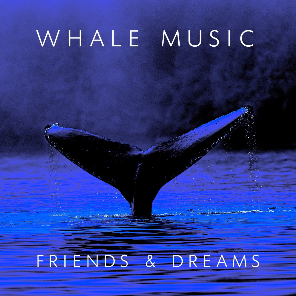Whale Music - Friends and Dreams (Sleeping Aid, Einschlafhilfe, Aide-sommeil) by White Noise Healing & Sleep Baby Sleep Sounds album cover