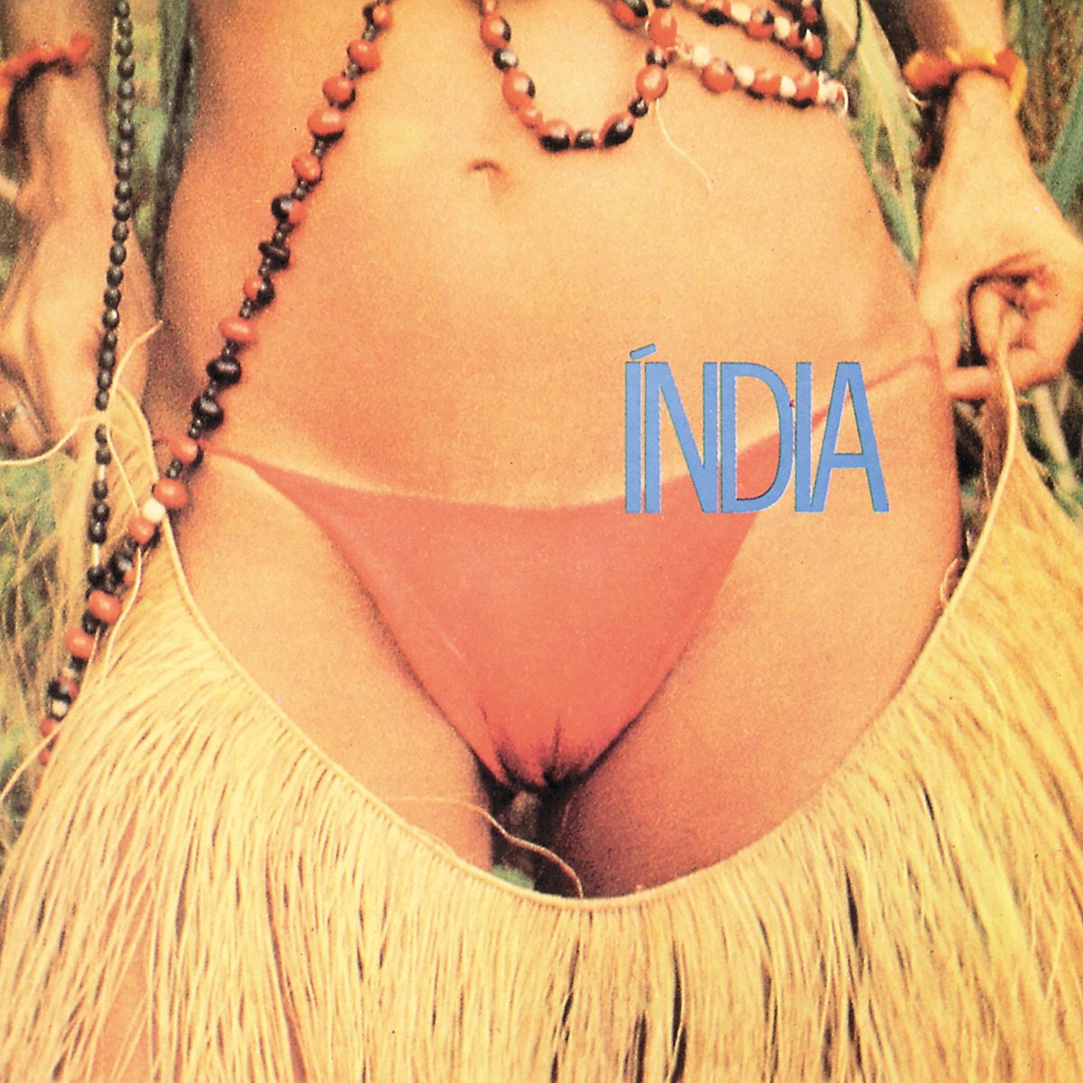 Índia by Gal Costa album cover