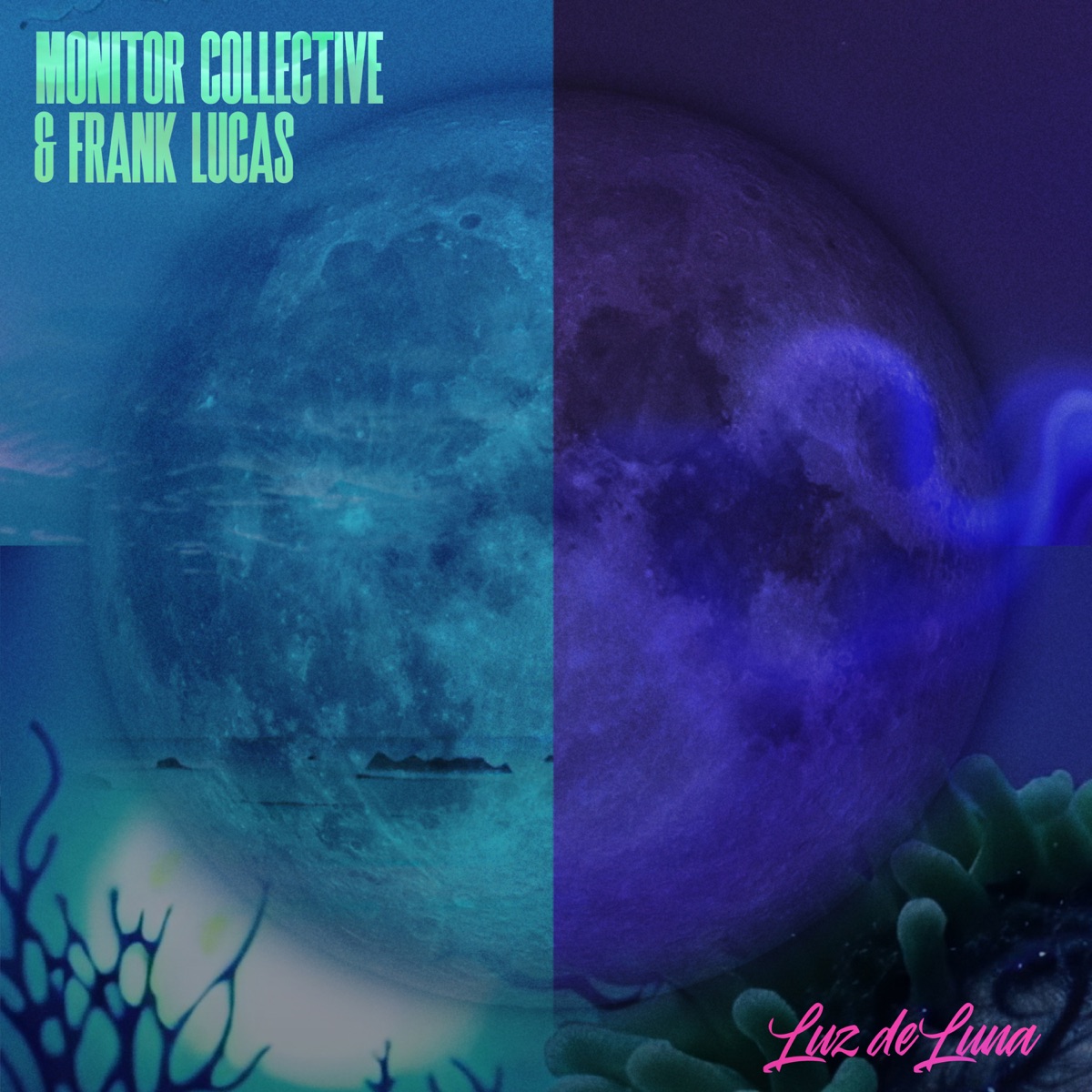 Luz De Luna - Single by Monitor Collective & Frank Lucas album cover