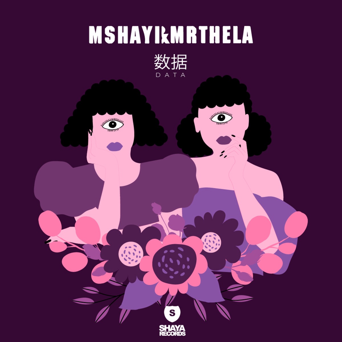 Data - Single by Mshayi & Mr Thela album cover