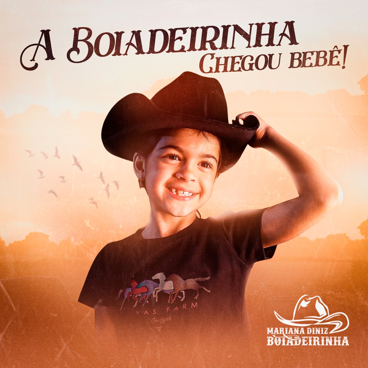 A Boiadeirinha Chegou Bebê! - Single by Mariana Diniz Boiadeirinha album cover