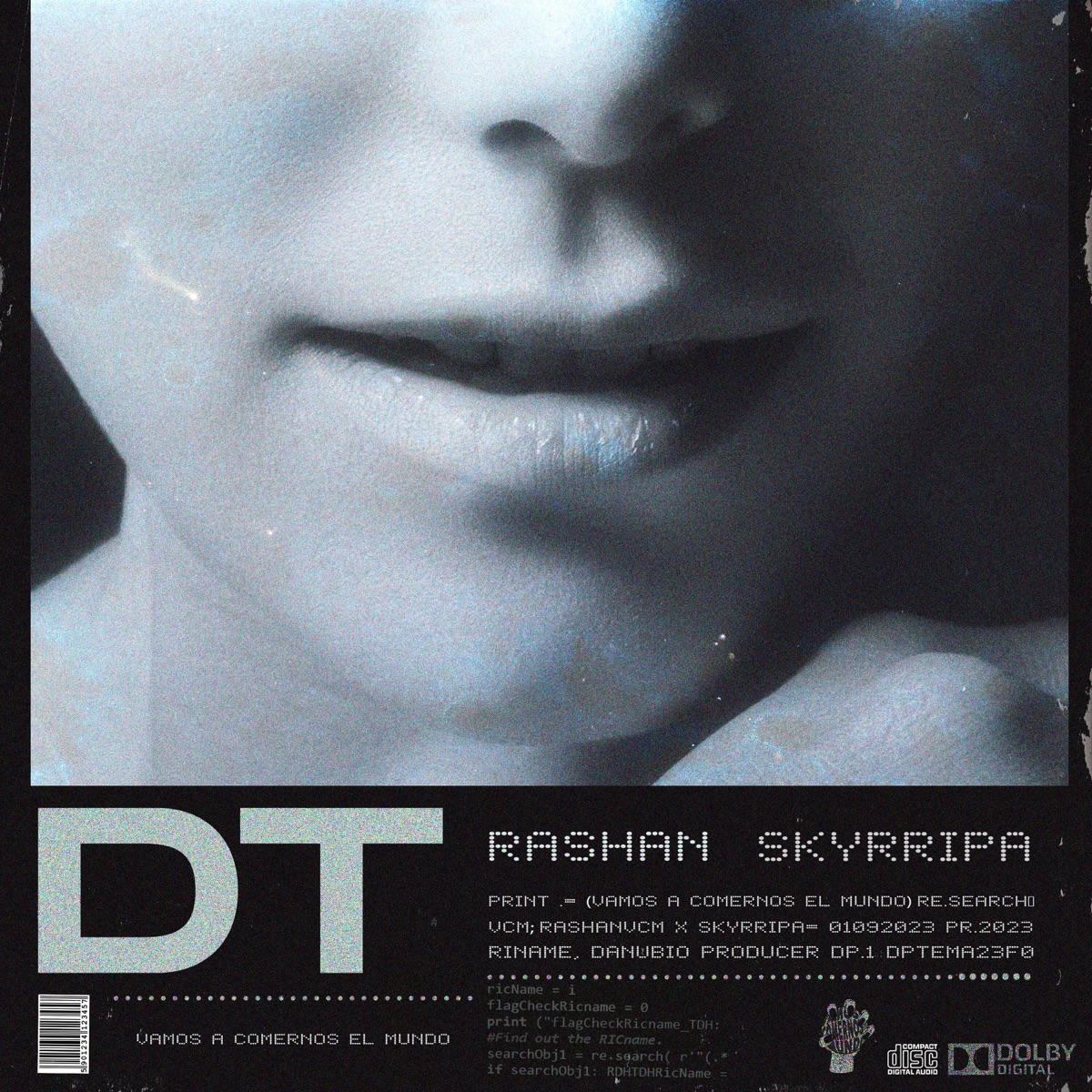 DT - Single by Rashan & Skyrripa album cover