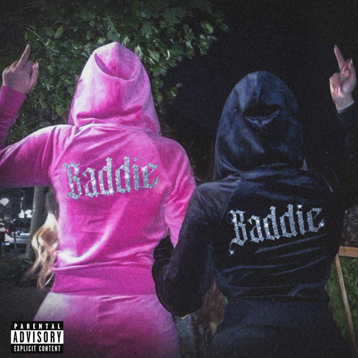Baddie (feat. Don Pietro) - Single by La Fleche, wherestheplug & 4TheNight album cover