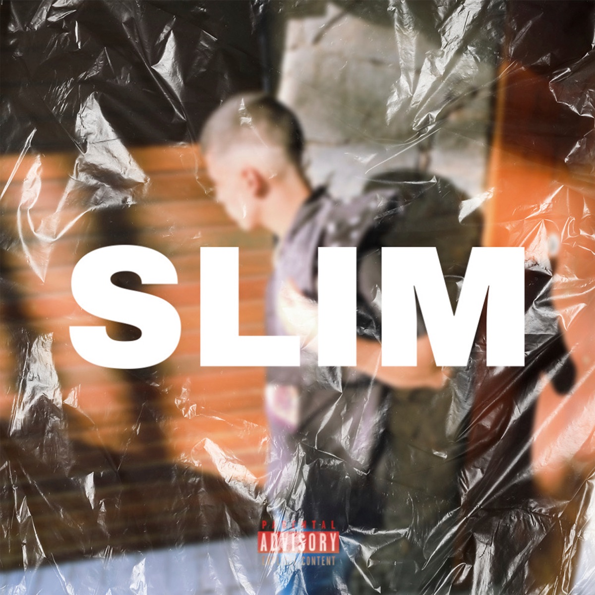 Slim - Single by SanDiego & Caiodex album cover