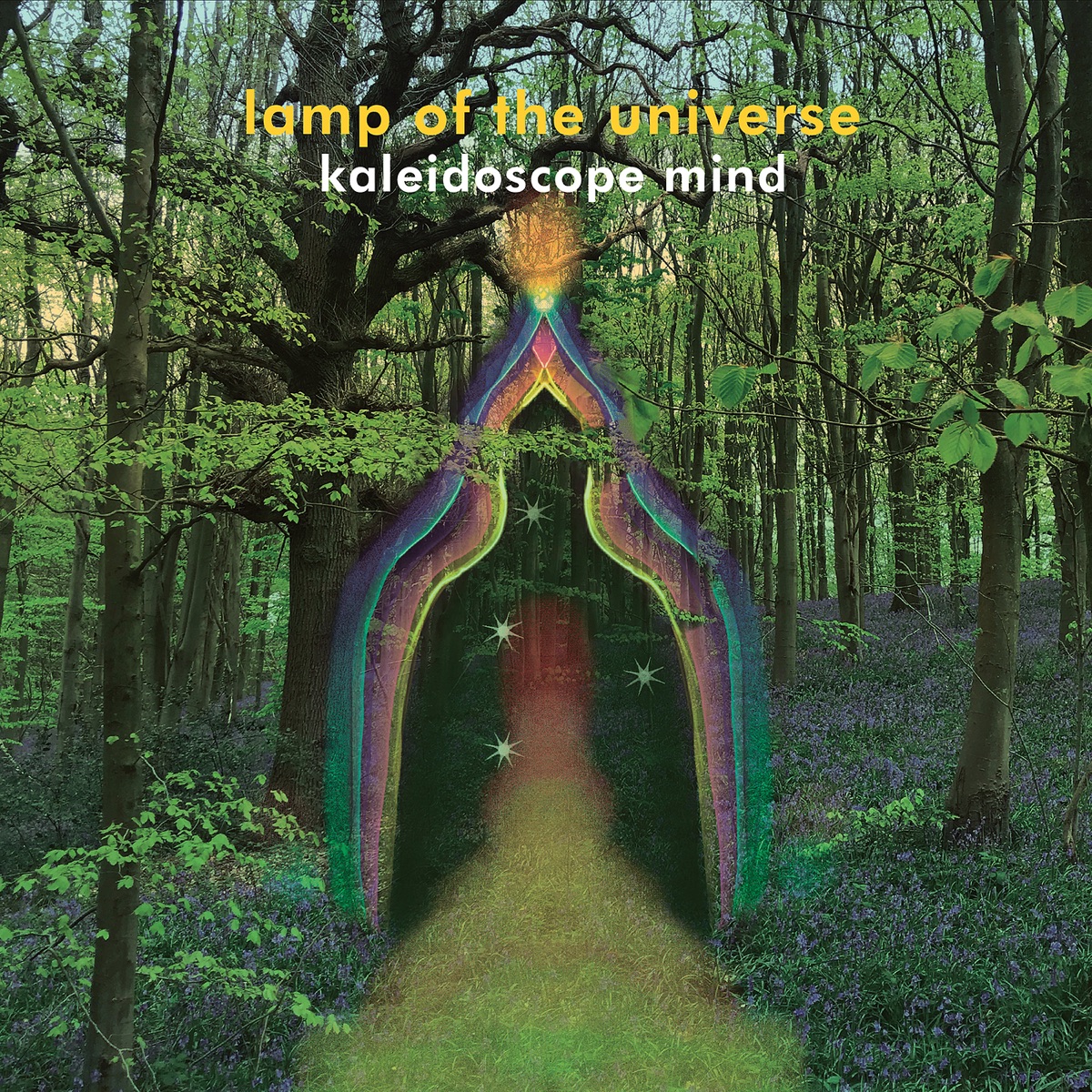 Kaleidoscope Mind by Lamp of the Universe album cover