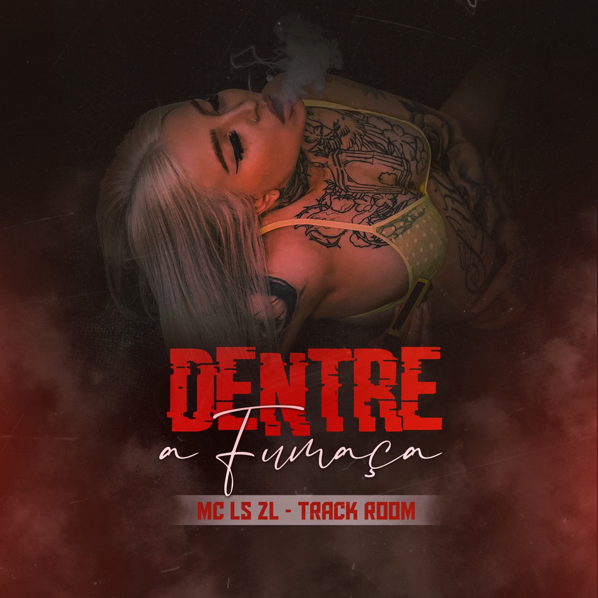 Dentre a Fumaça - Single by Track Room & MC LS ZL album cover