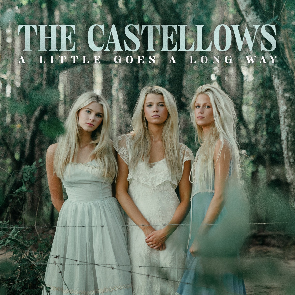 A Little Goes A Long Way by The Castellows album cover