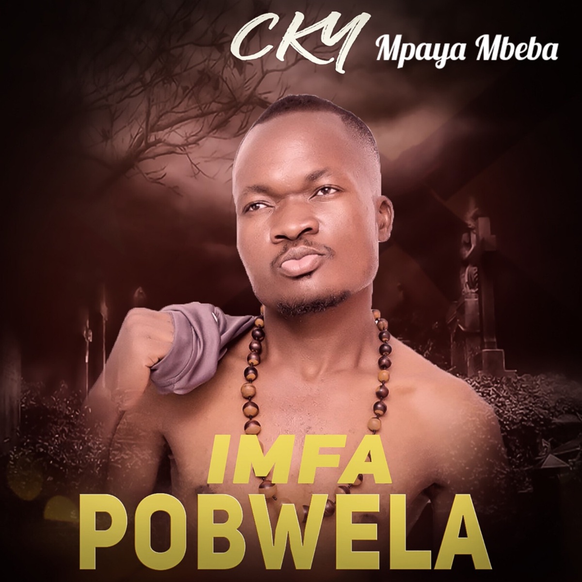 Imfa Pobwela - Single by CKY MPAYA MBEBA album cover