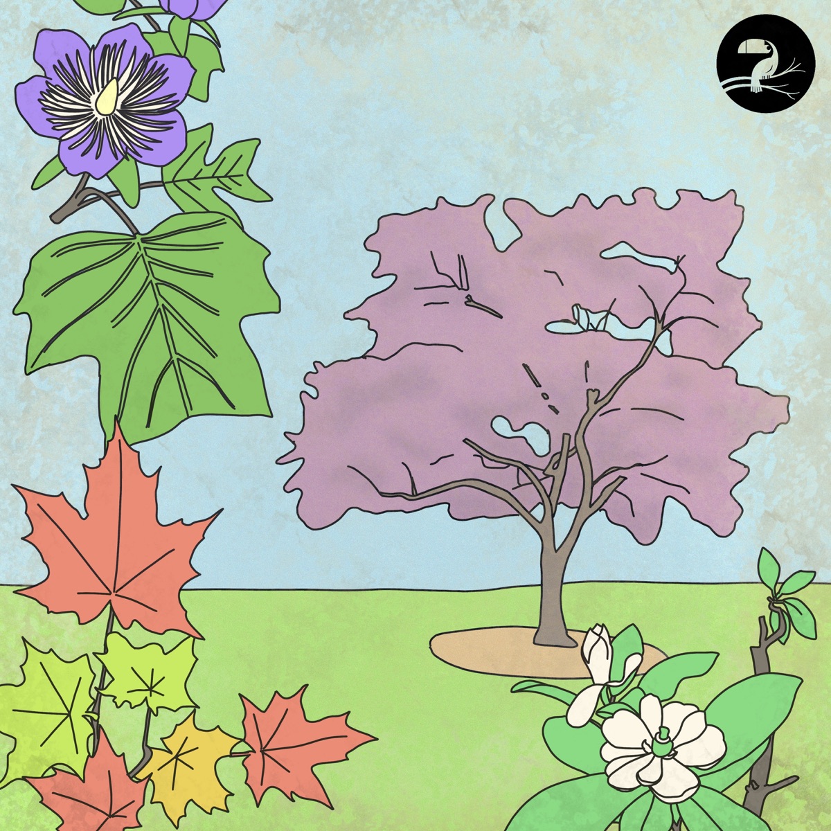 Blossom - Single by Noflik & Showyou album cover
