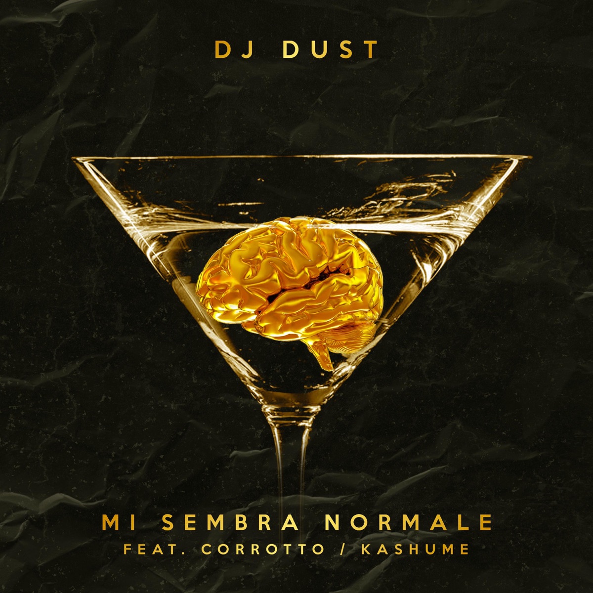 MI SEMBRA NORMALE (feat. Corrotto & Kashume) - Single by Dj Dust album cover