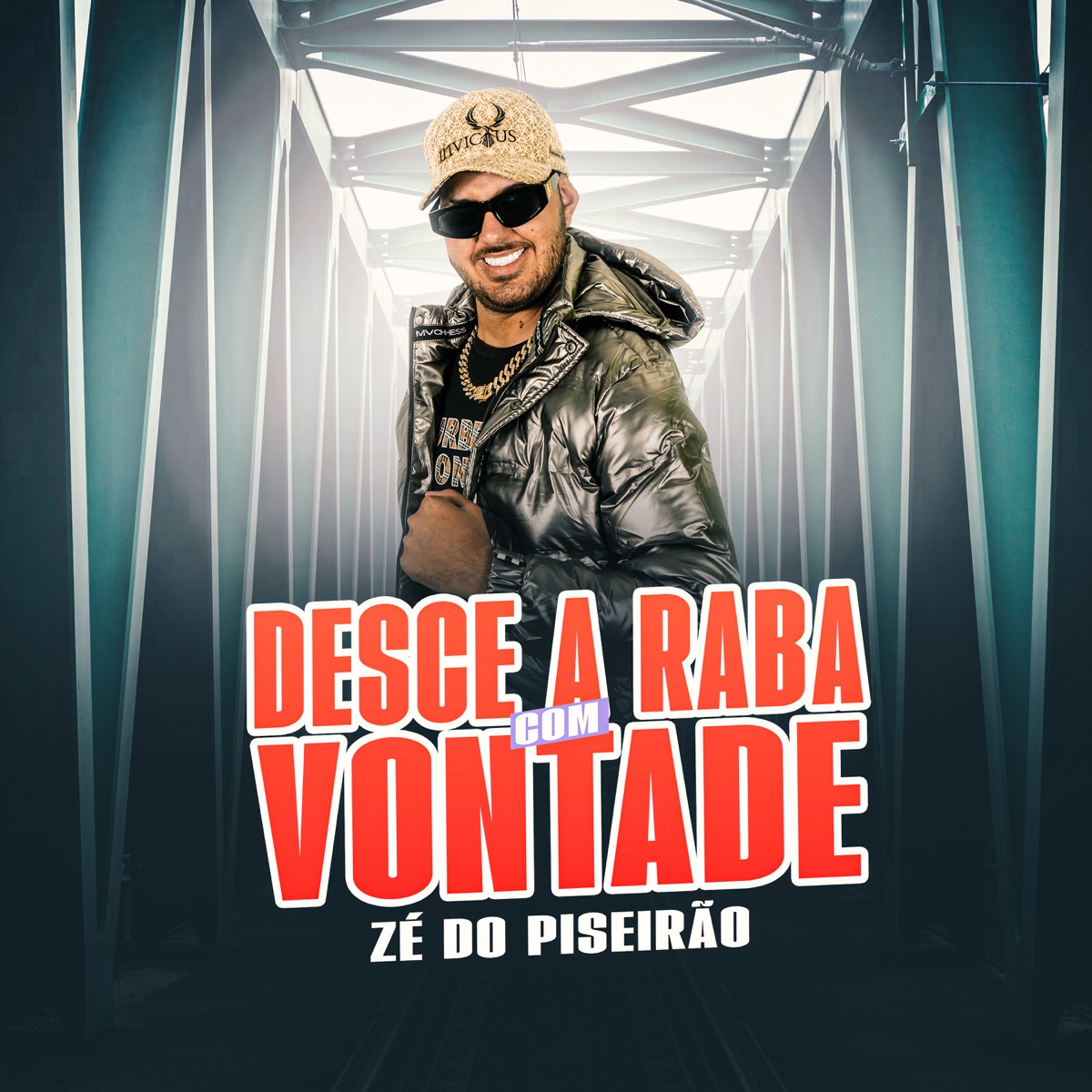 Desce a Raba Com Vontade - Single by Zé do Piseirão album cover