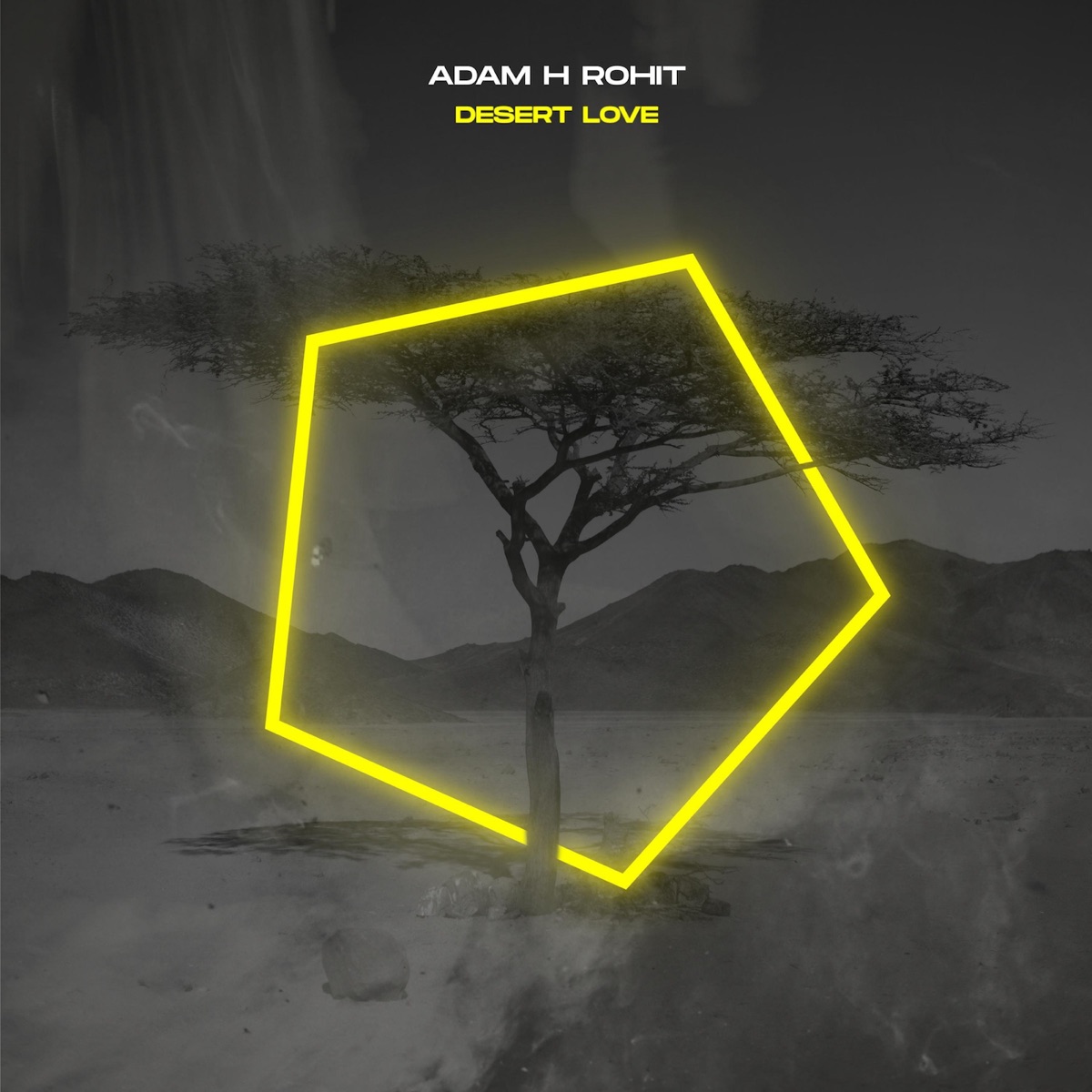 Desert Love - Single by Adam H Rohit album cover