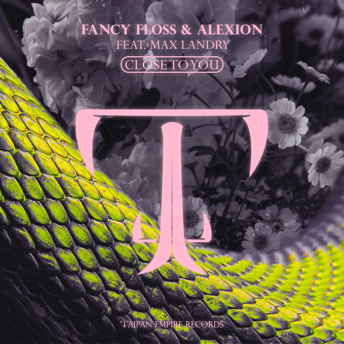 Close to You (feat. Max Landry) - Single by Fancy Floss & Alexion album cover