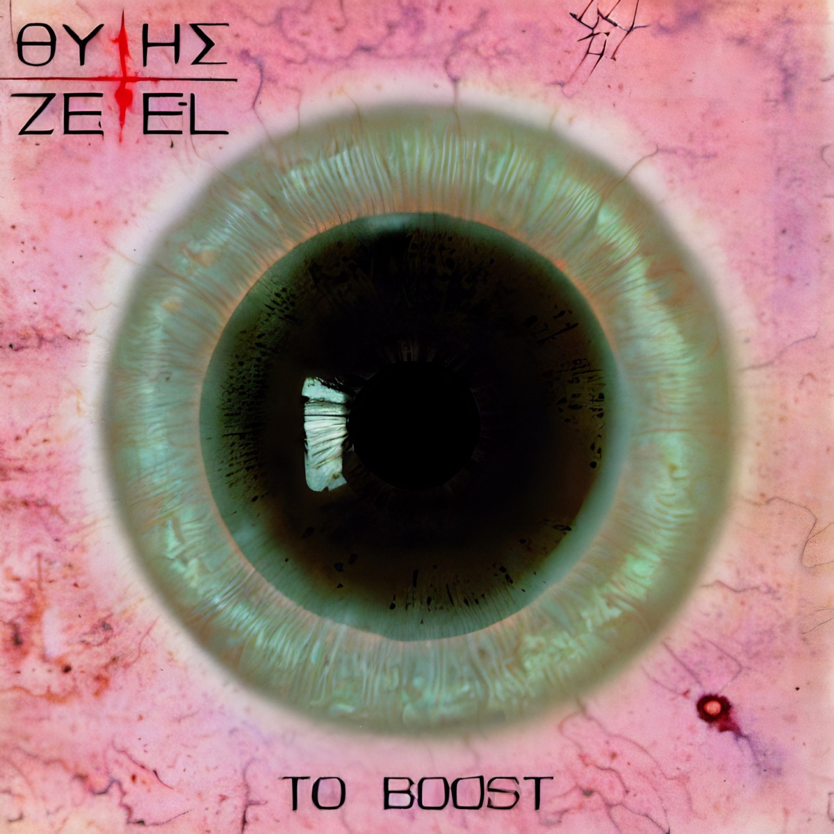 To Boost - Single by Thitis & Zetel album cover
