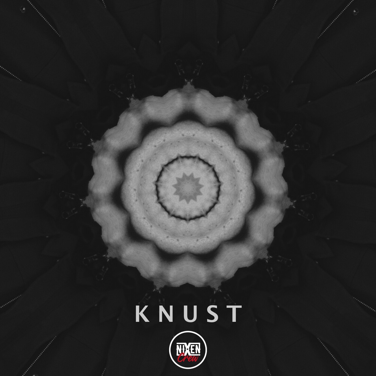 Knust - Single by Nixen album cover