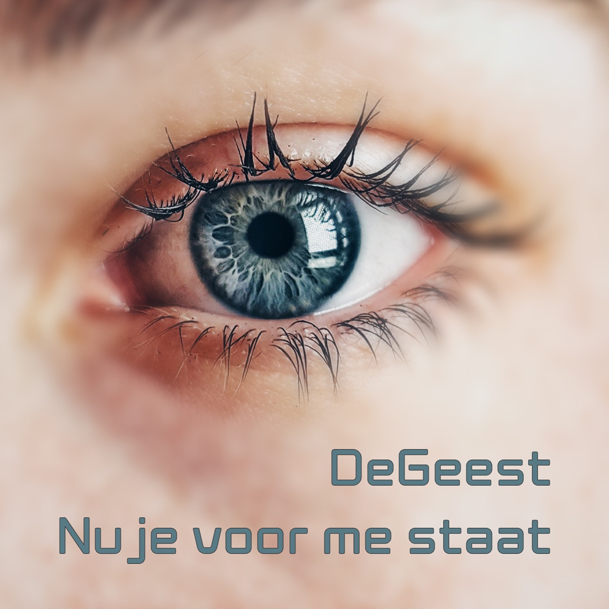 Nu Je Voor Me Staat - Single by De Geest album cover