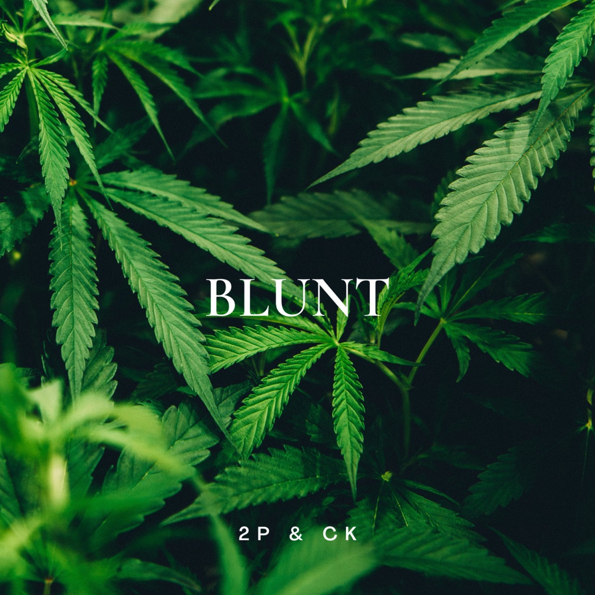 Blunt - Single by 2P O TREM & Ckzin album cover
