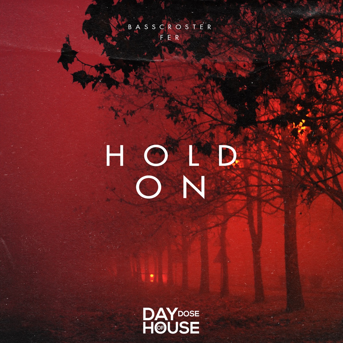 Hold On - Single by Basscroster & FER album cover