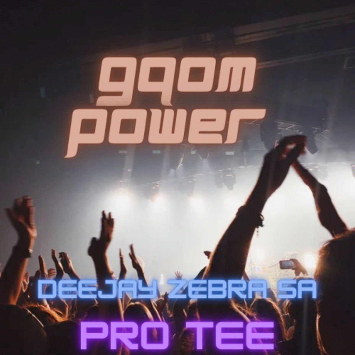 Gqom Power - Single by Deejay Zebra SA & Pro Tee album cover
