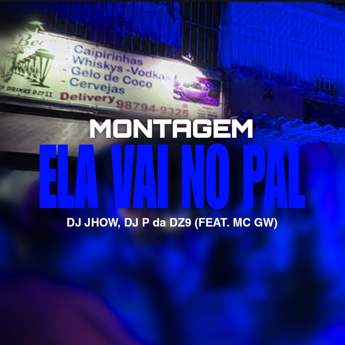 Montagem Ela Vai no Pal (feat. MC GW) - Single by DJ JHOW & DJ P da DZ9 album cover