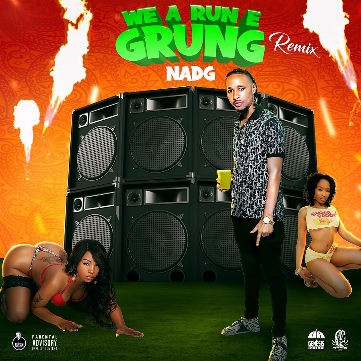 We a Run E Grung (Remix) - Single by Nadg album cover