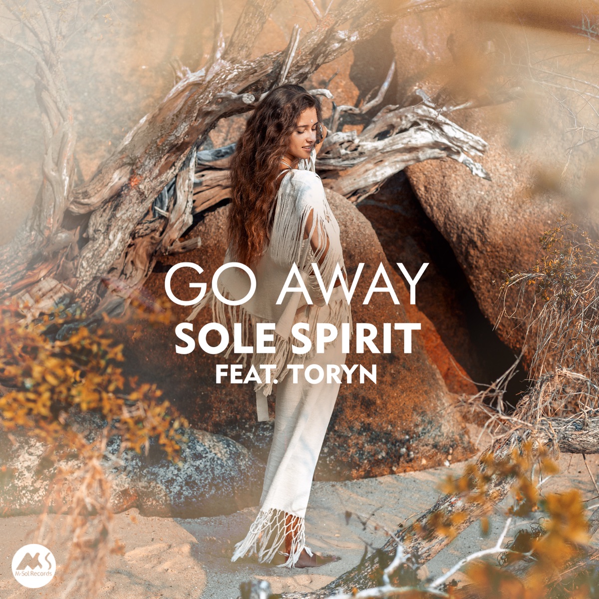Go Away - Single by Sole Spirit & Toryn album cover