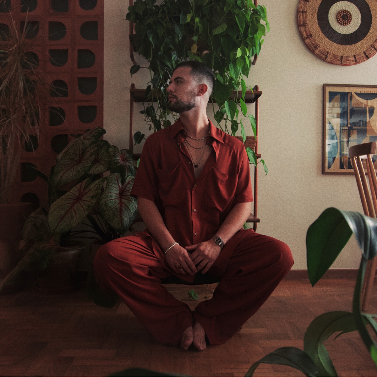 Amor de Carnaval - Single by Vitor Ferraz album cover