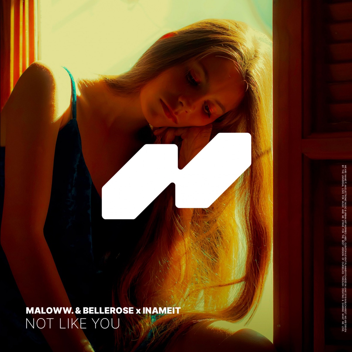 Not Like You - Single by maloww., Bellerose & INAMEIT album cover