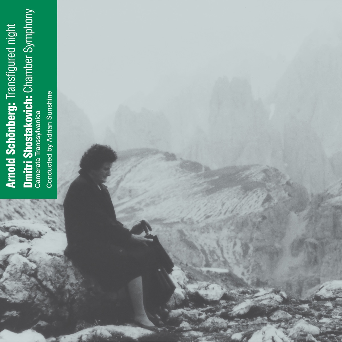Arnold Schönberg: Transfigured Night / Dimitri Shostakovich: Chamber Symphony by Adrian Sunshine & Camerata Transsylvanica album cover