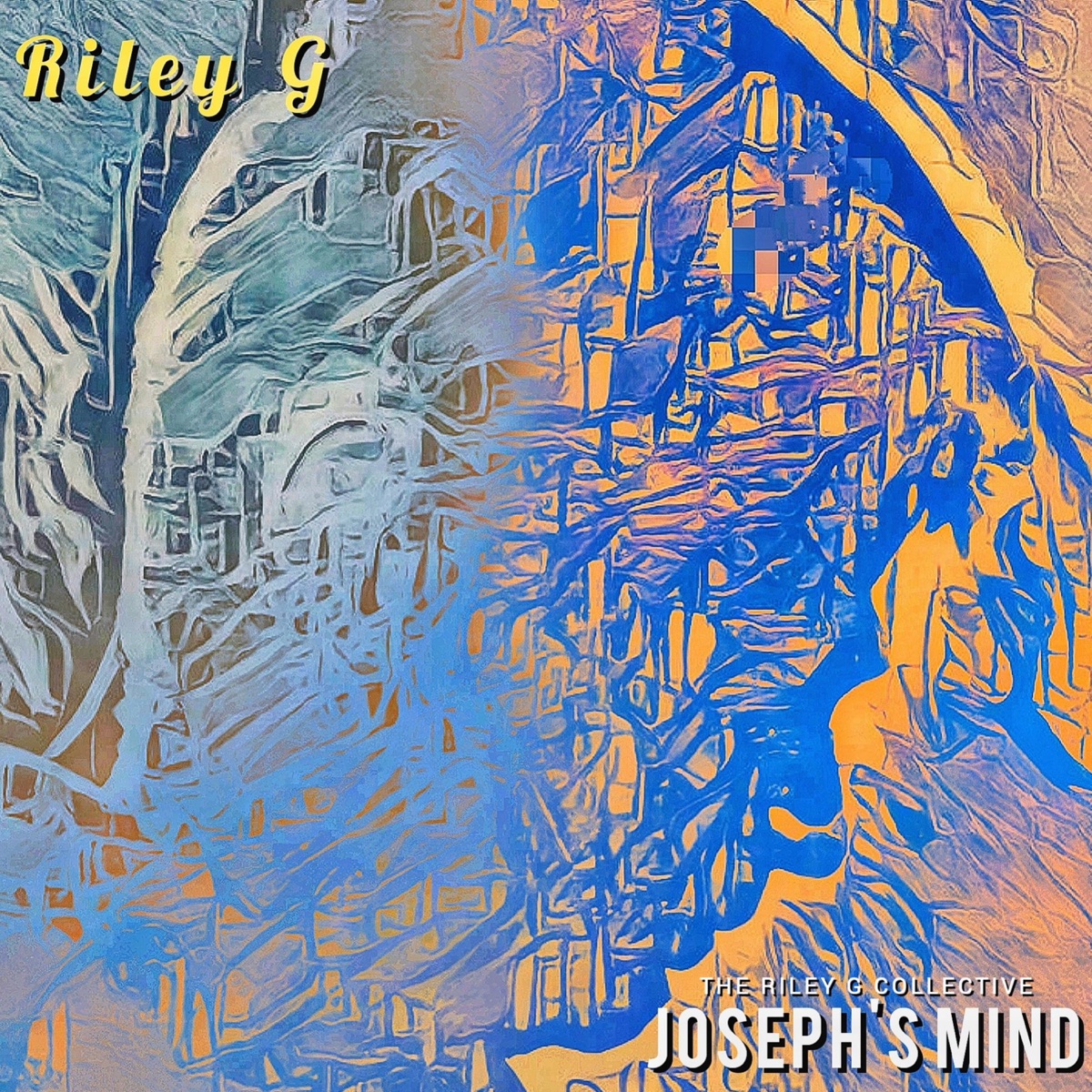 Joseph's Mind (feat. Salim Washington, Prince Bulo, Sanele Phakathi & Ethan Naidoo) by Riley G album cover