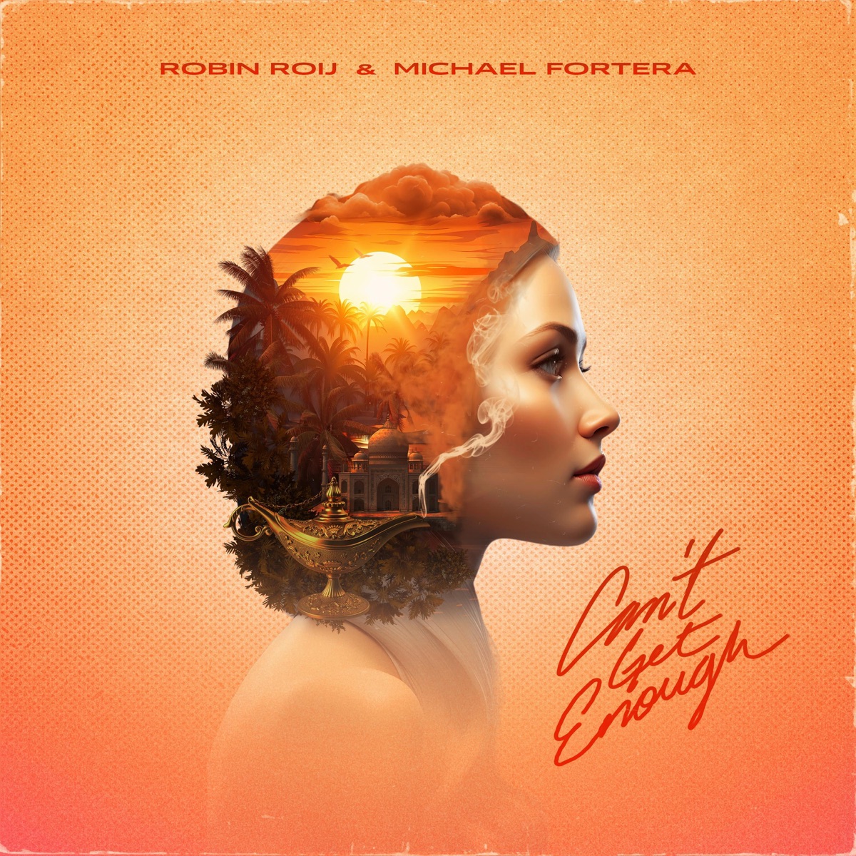 Can't Get Enough - Single by Robin Roij & Michael Fortera album cover