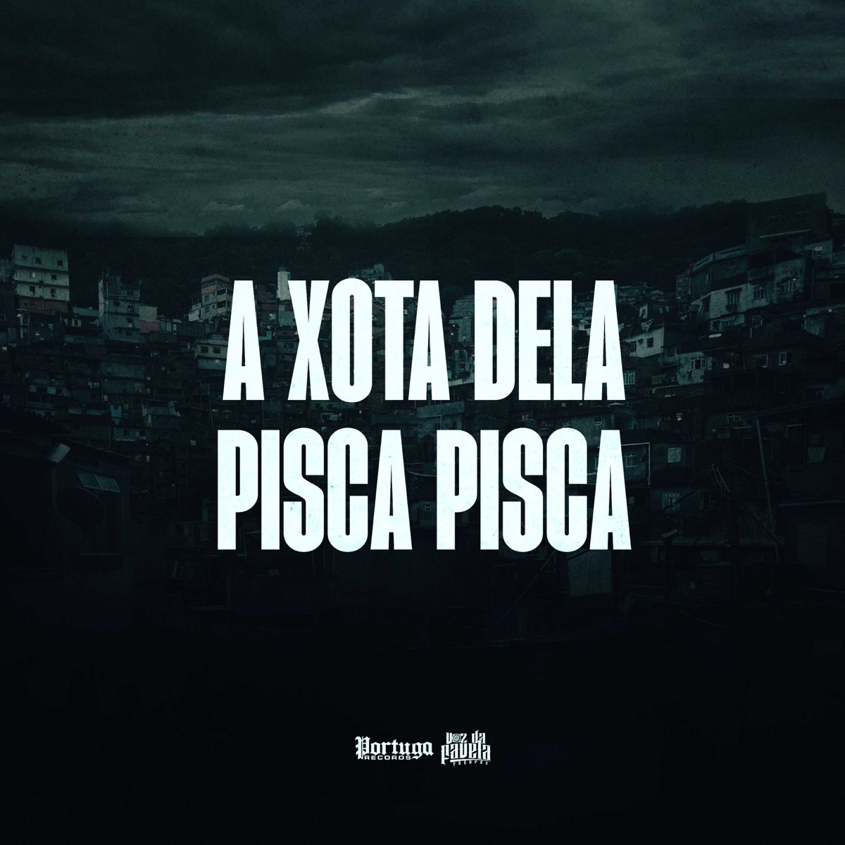 A Xota Dela Pisca Pisca - Single by DJ Ronaldo o Brabo, Mc Barbi & MC Nigueri album cover